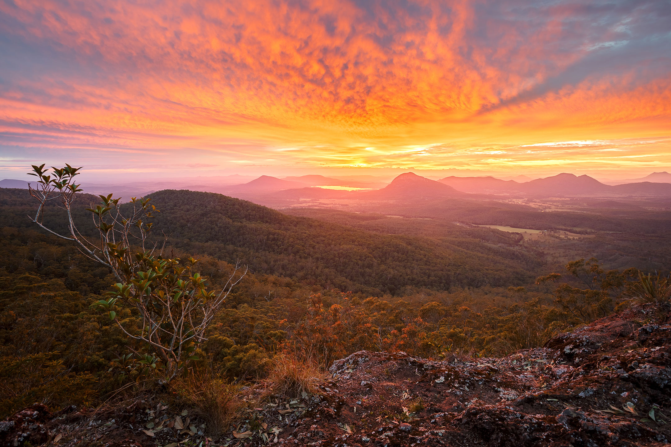 Sunrise over the Scenic Rim from Governor's Chair, Spicer's Gap, Main Range National Park, Australia