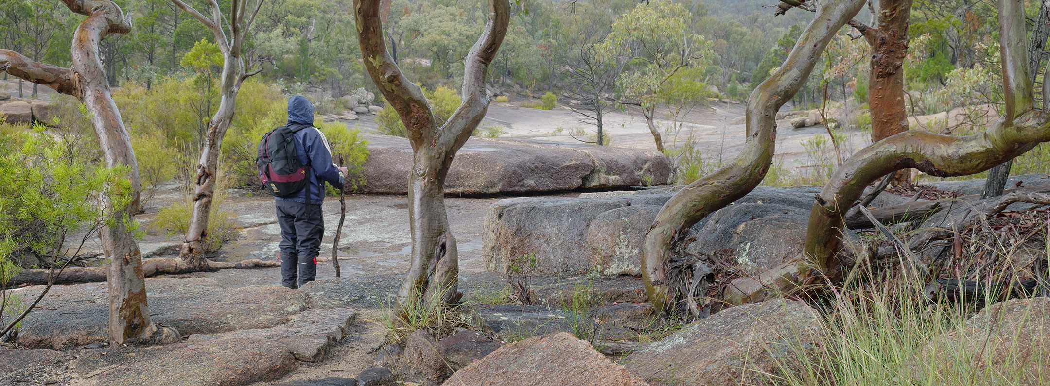 Looking out over the classic Australian landscape of Girraween National Park
