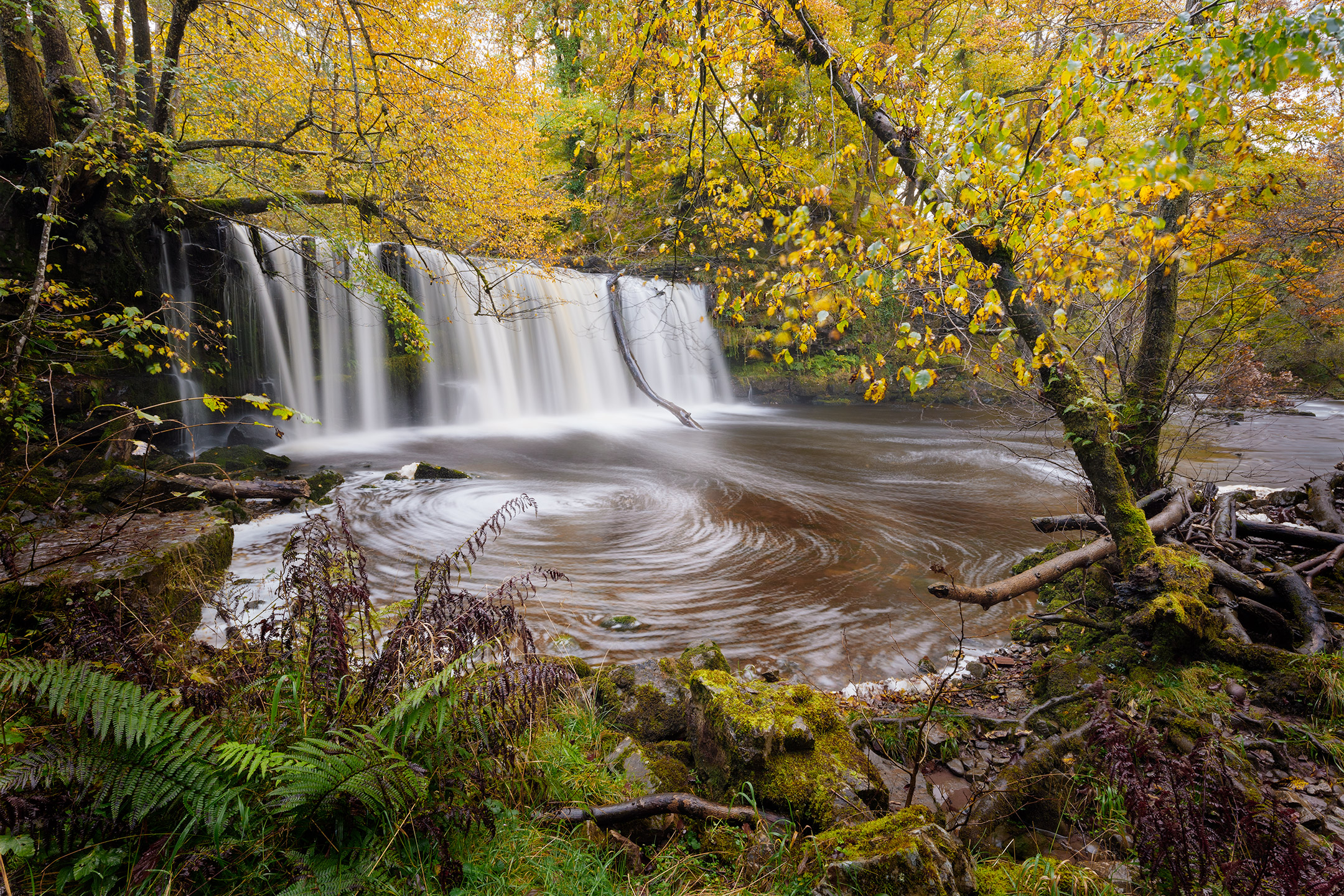 The waters of Sgwd Ddwli Uchaf swirl amongst autumn colours on the Elidir Trail, Brecon Beacons, Wales 