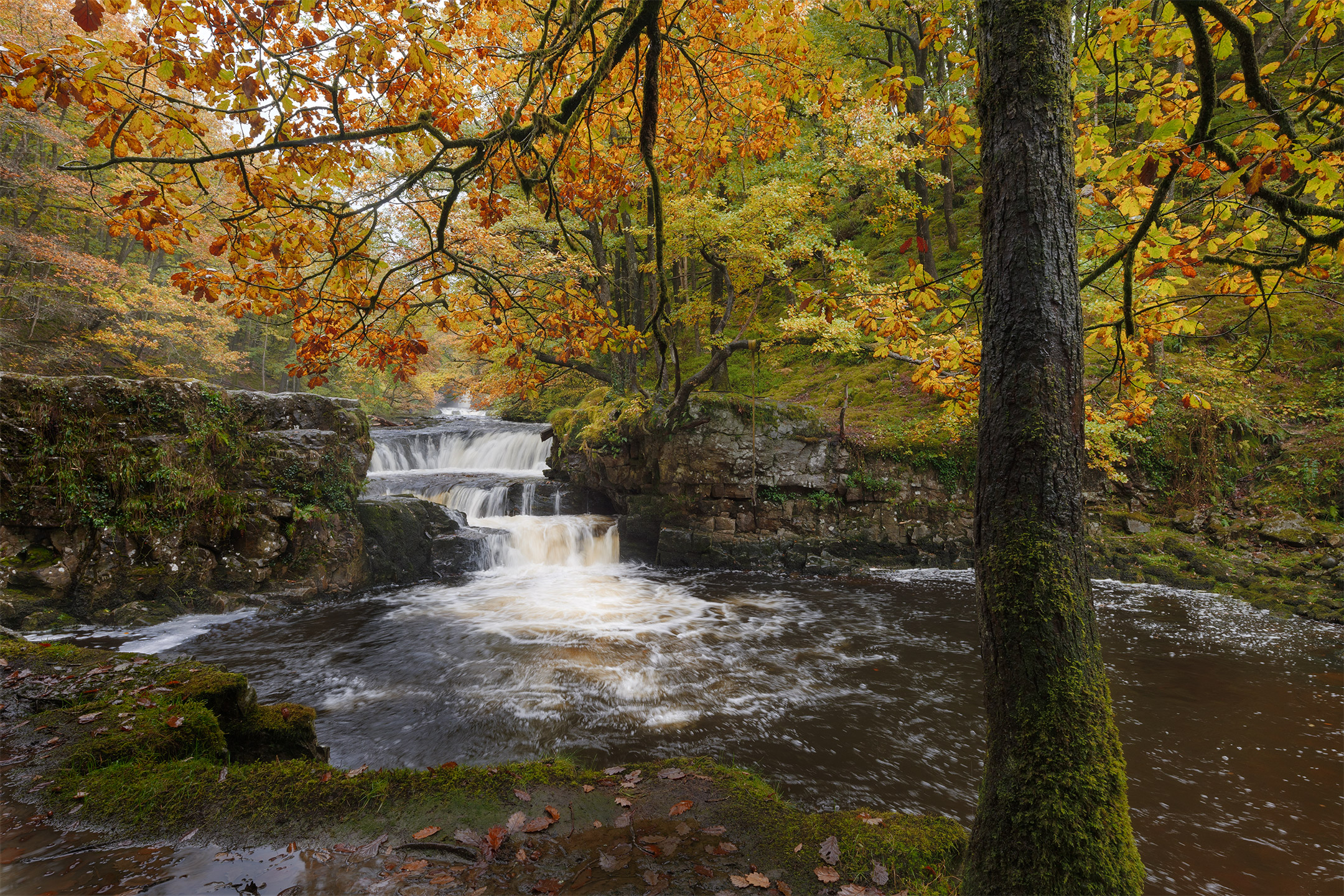 Sgwd-y-Bedol cascades under autumn trees in the Brecon Beacons, Wales